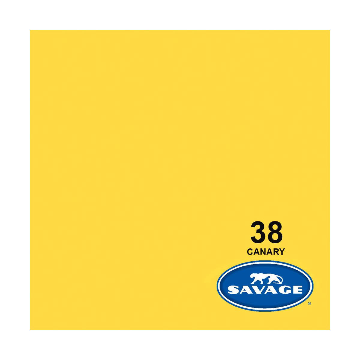 Canary Seamless Background Paper, 86" Wide x 36' P112
