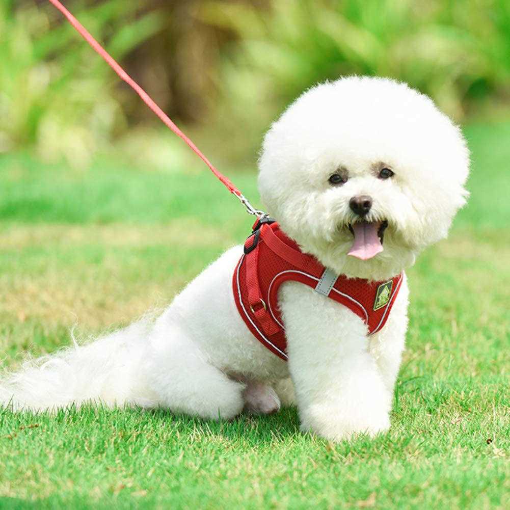Soft Mesh Reflective Adjustable Dog Harness and Leash Set I130