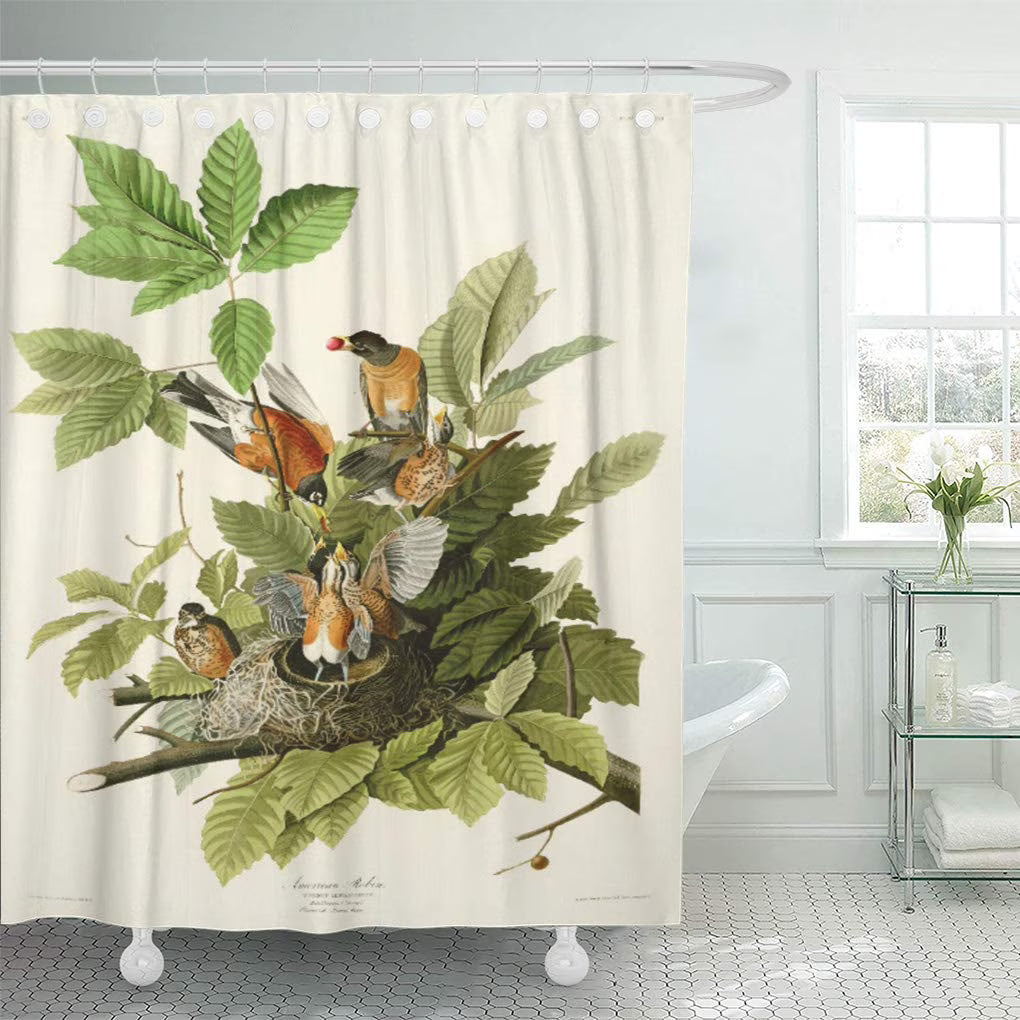 American Robin Shower Curtain 66x72 inch O47685