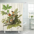 American Robin Shower Curtain 66x72 inch O47685