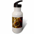 21 oz Sports Water Bottle Y878512