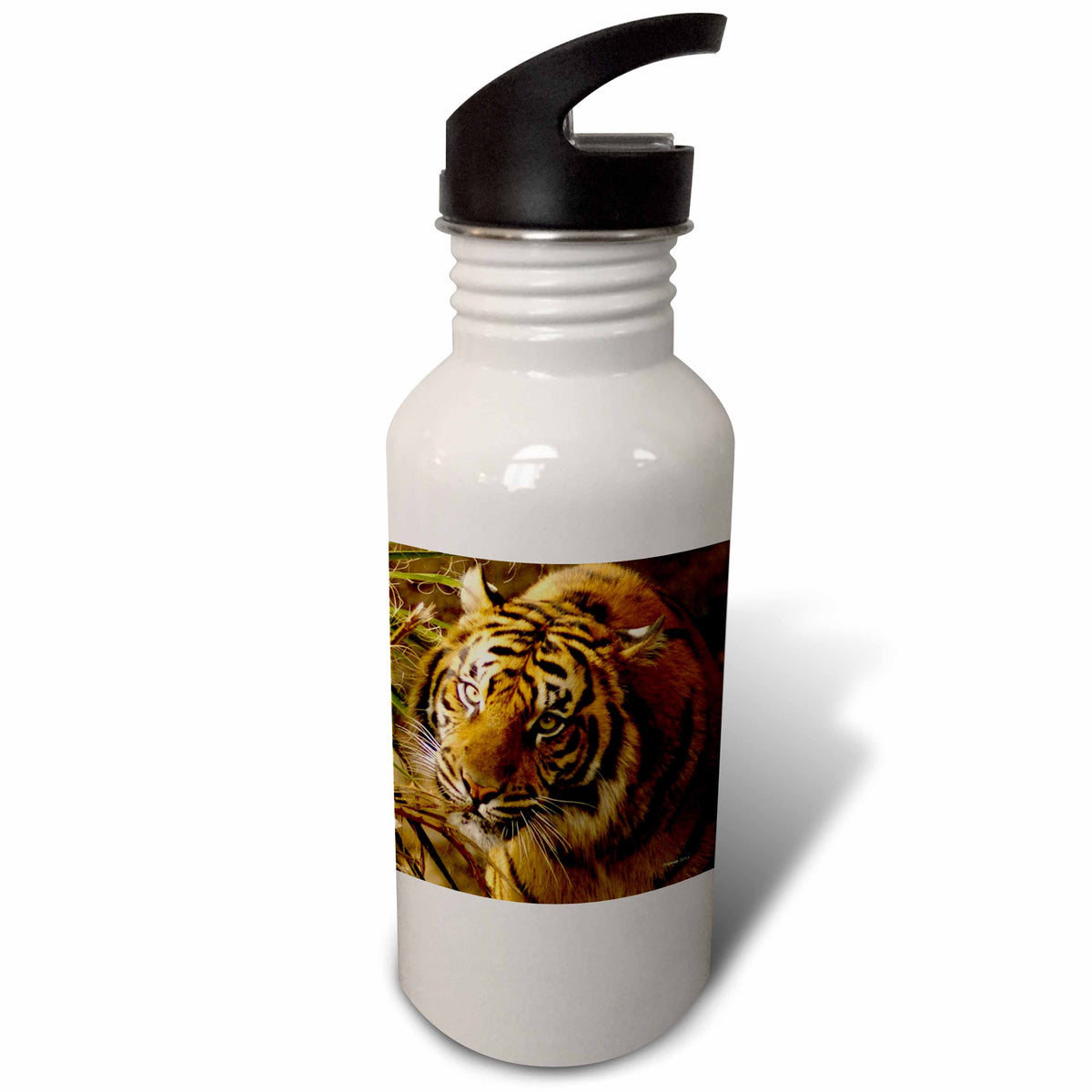 21 oz Sports Water Bottle Y878512