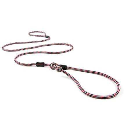 Slip Collar Dog Leash L14339
