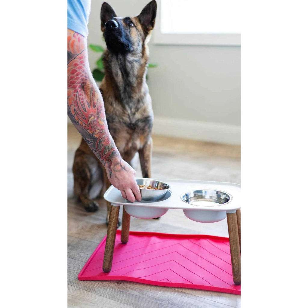 Elevated Dog Double Feeder P989720