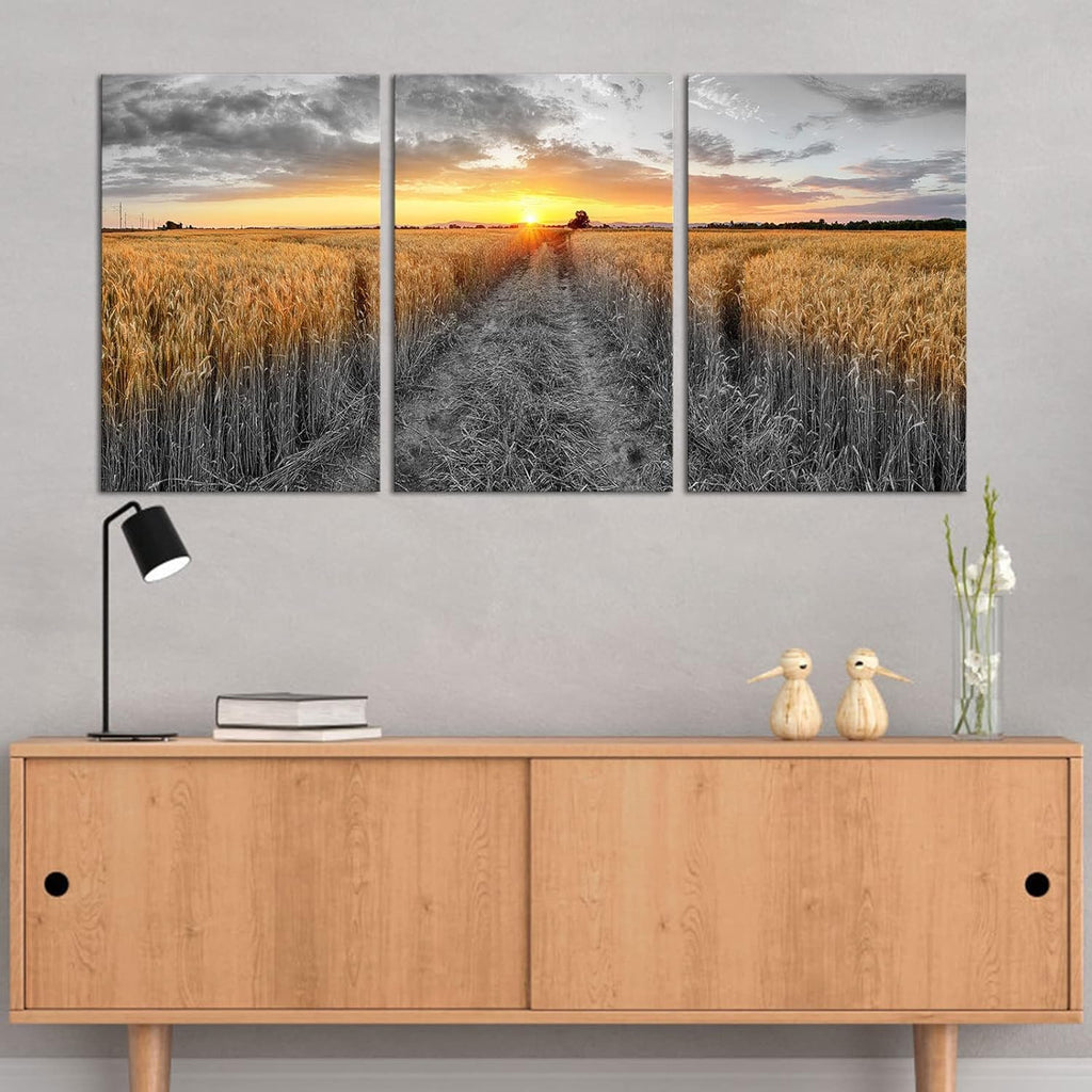 3 Pieces Golden Wheat Field Texas Sunset Canvas Wall Art Z414