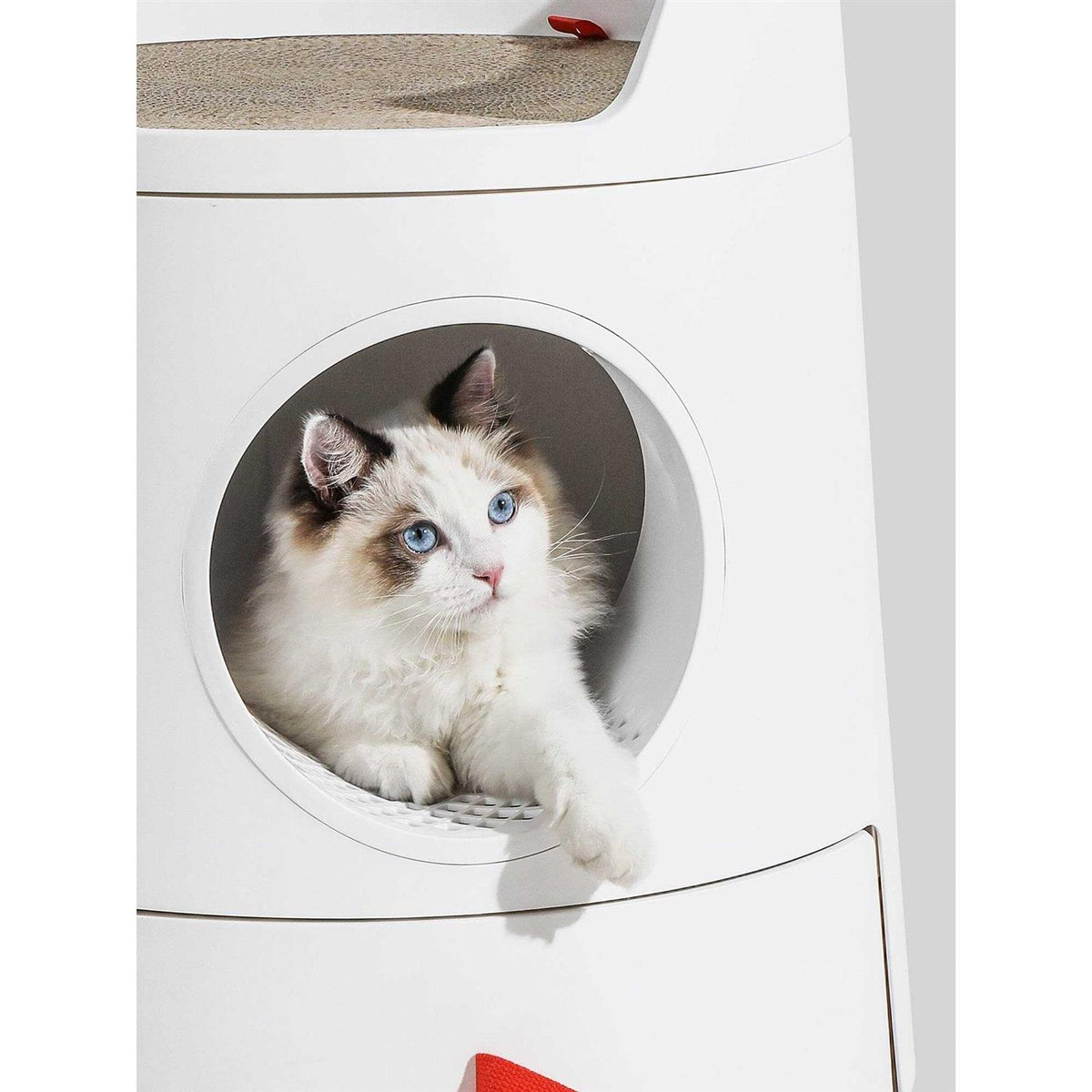 XL 2-in-1 Cat Litter Box with Scratch Basin F18545