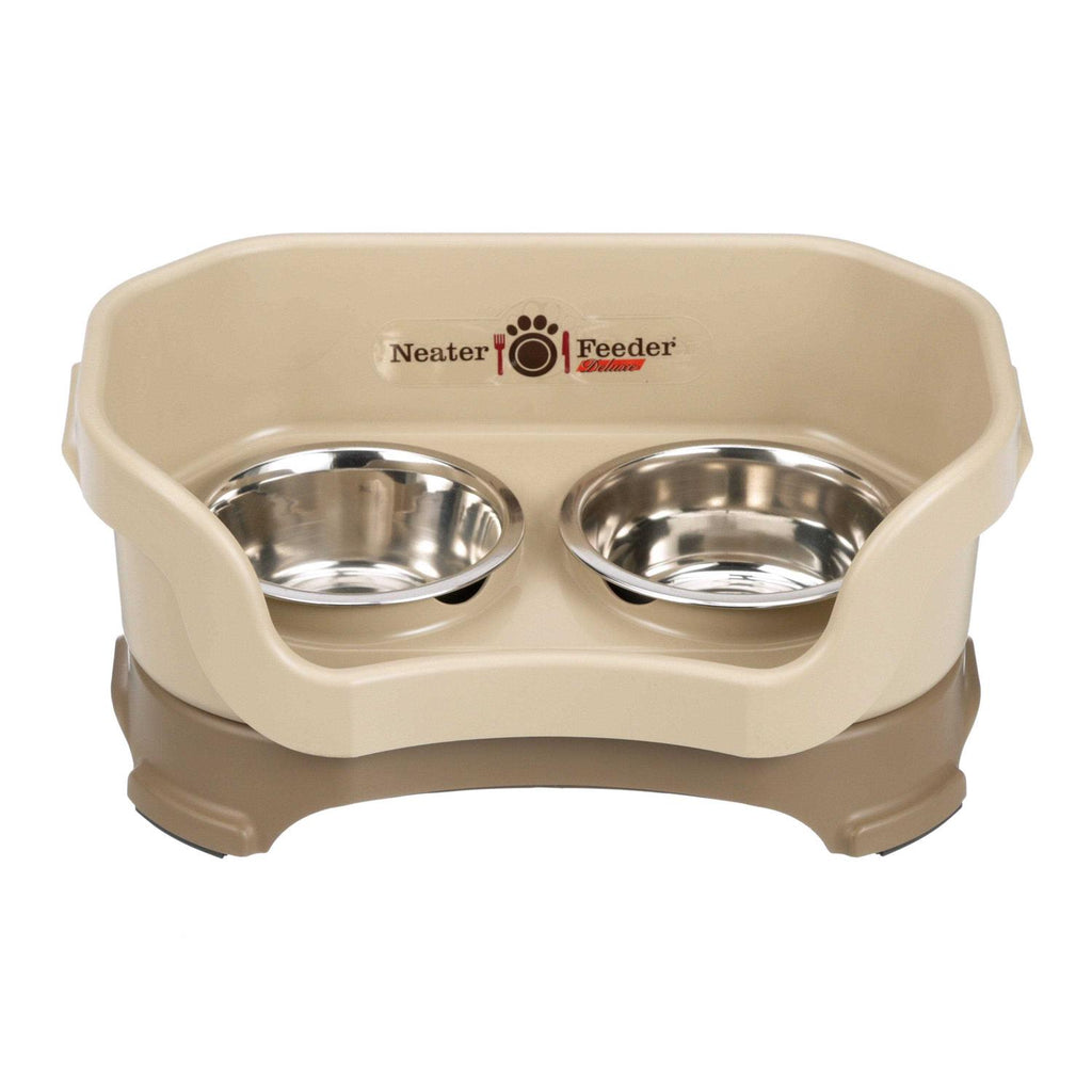 Dog Feeder I802557