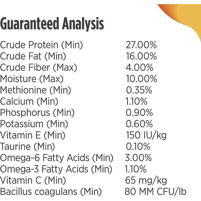 Turkey Dry Dog Food B5509