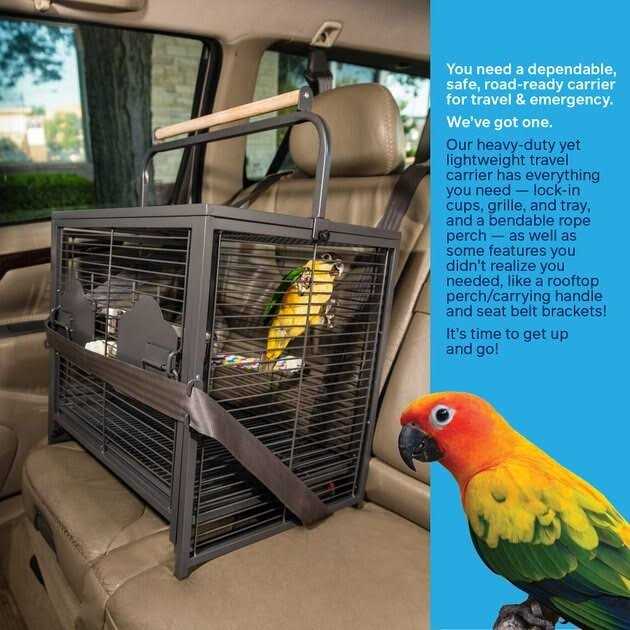 Pet Travel Carrier L64104