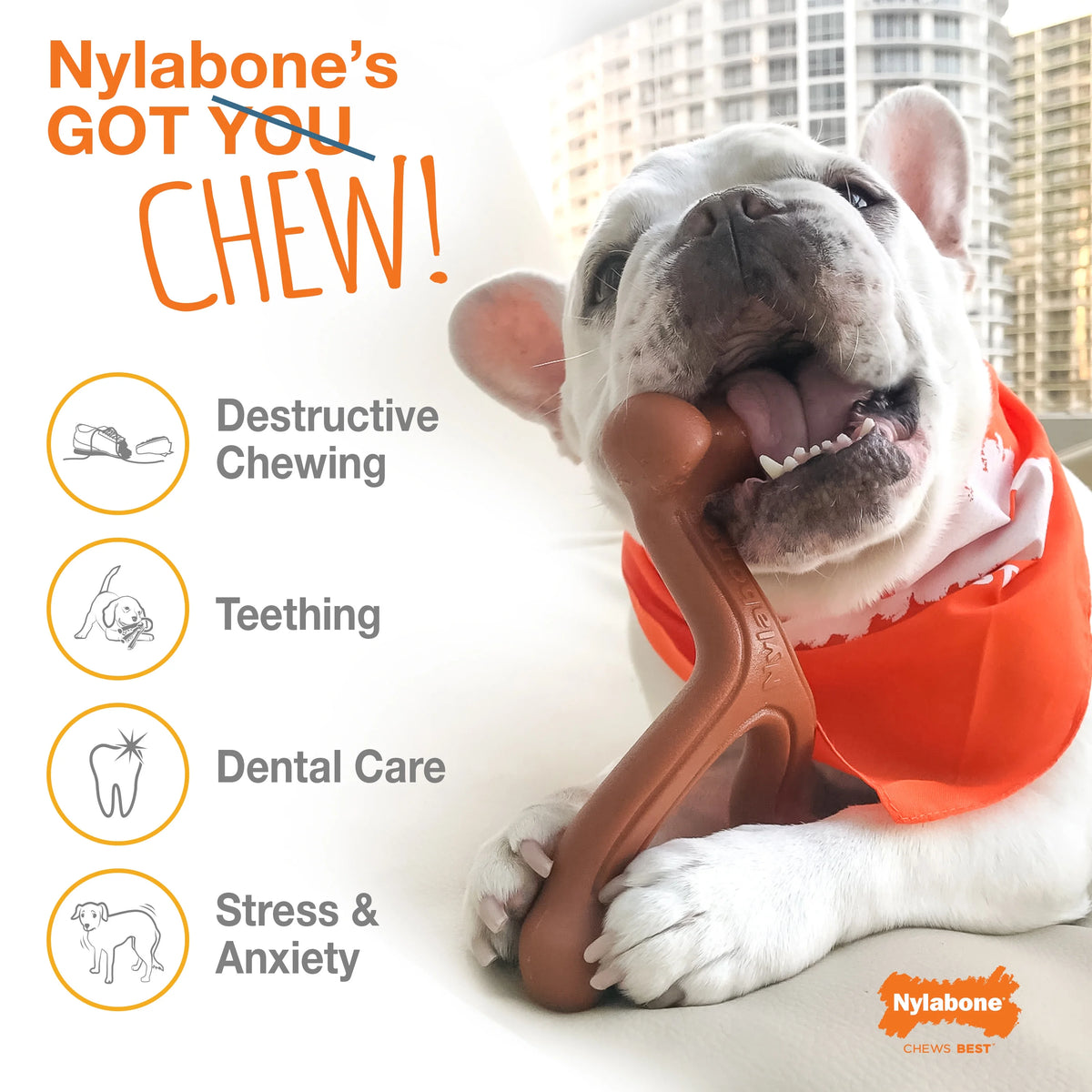 Triple Pack X-Small/Petite Chew Toy W6333