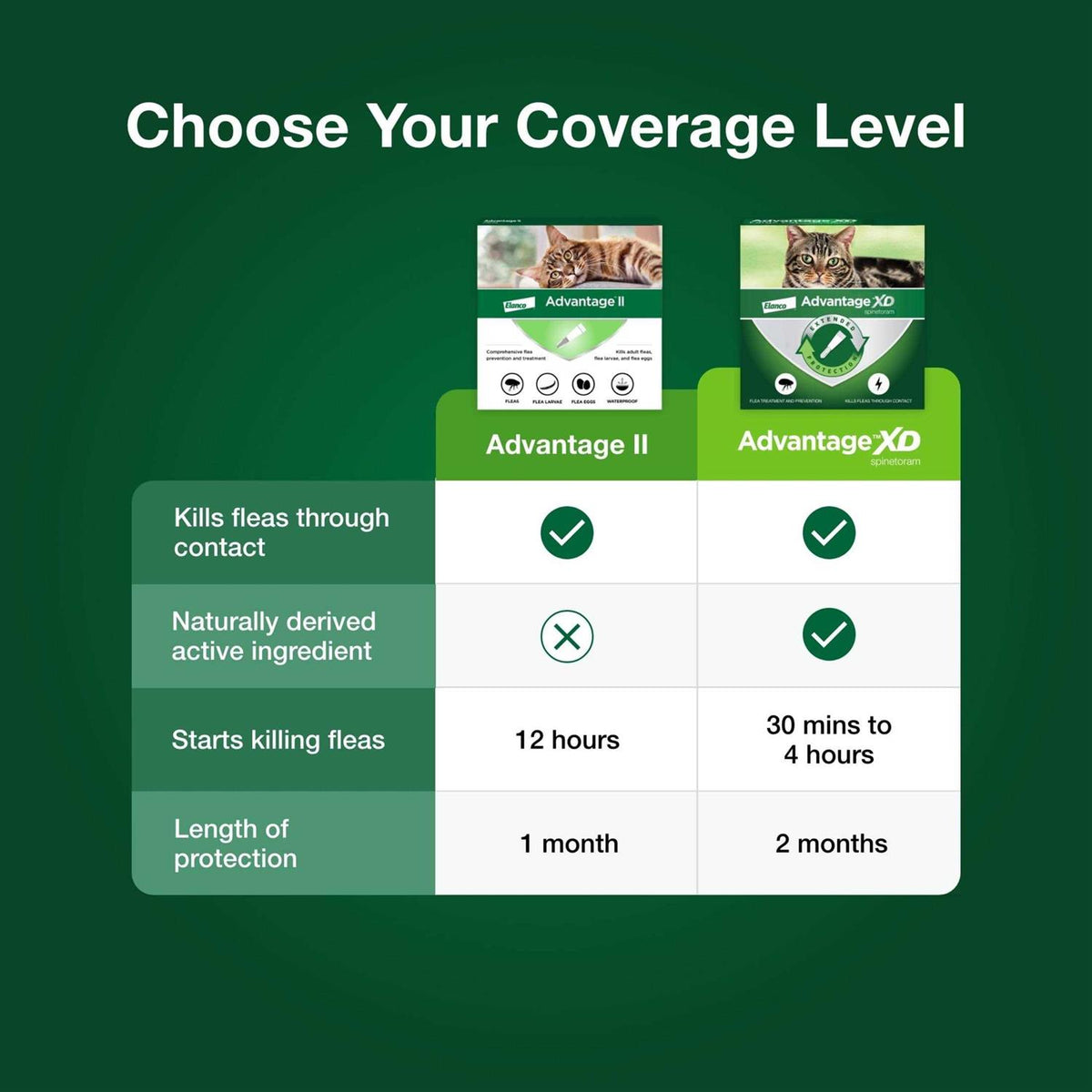 Cat Flea Prevention & Treatment N997
