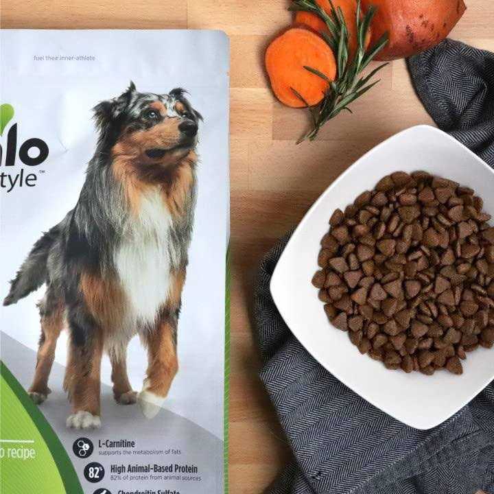 Grain-Free Trout & Sweet Potato Dry Dog Food U3718