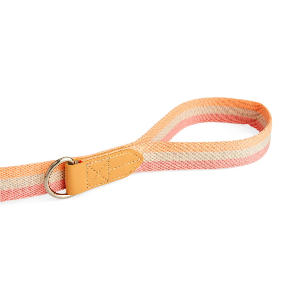 Dog Leash F617789
