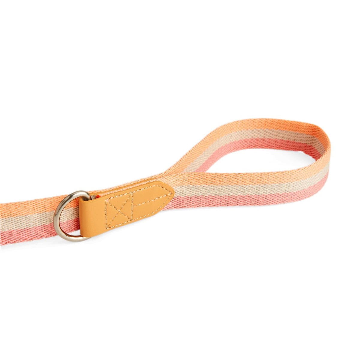 Dog Leash F617789