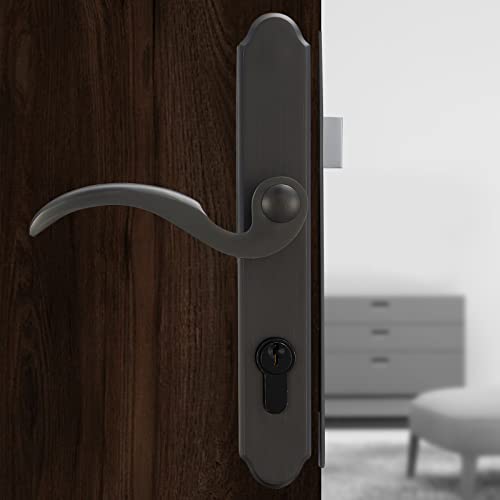 Brushed Polished Brass Lever Handle Set for Screen & Storm Doors G177150