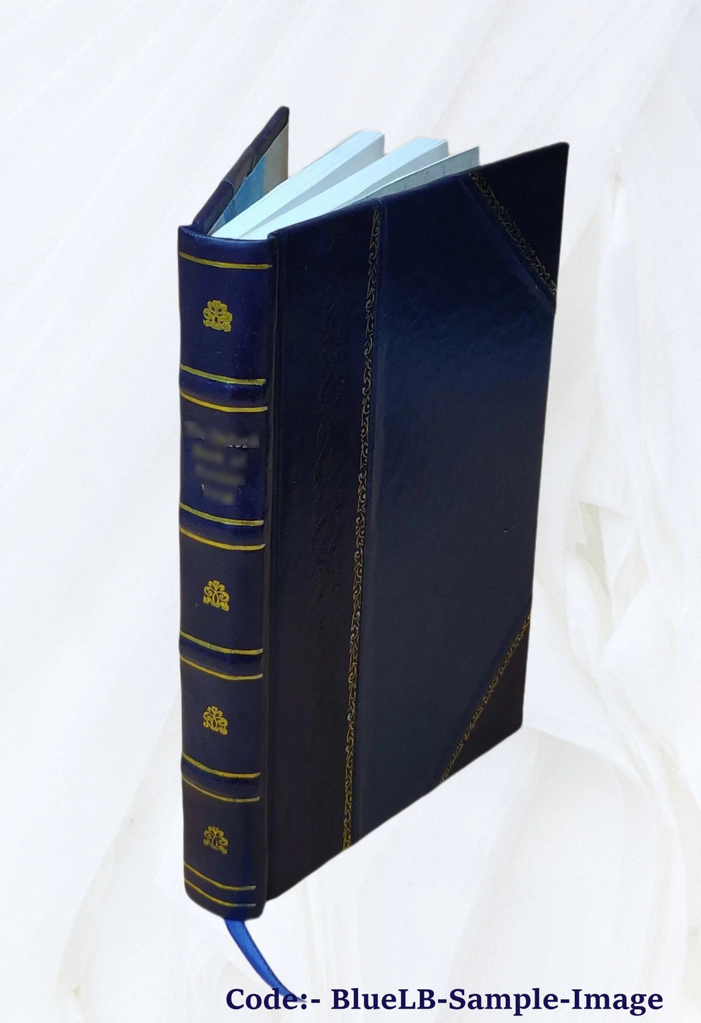 Guide pratique des villes d'eaux 1910 Leather Bound O8441