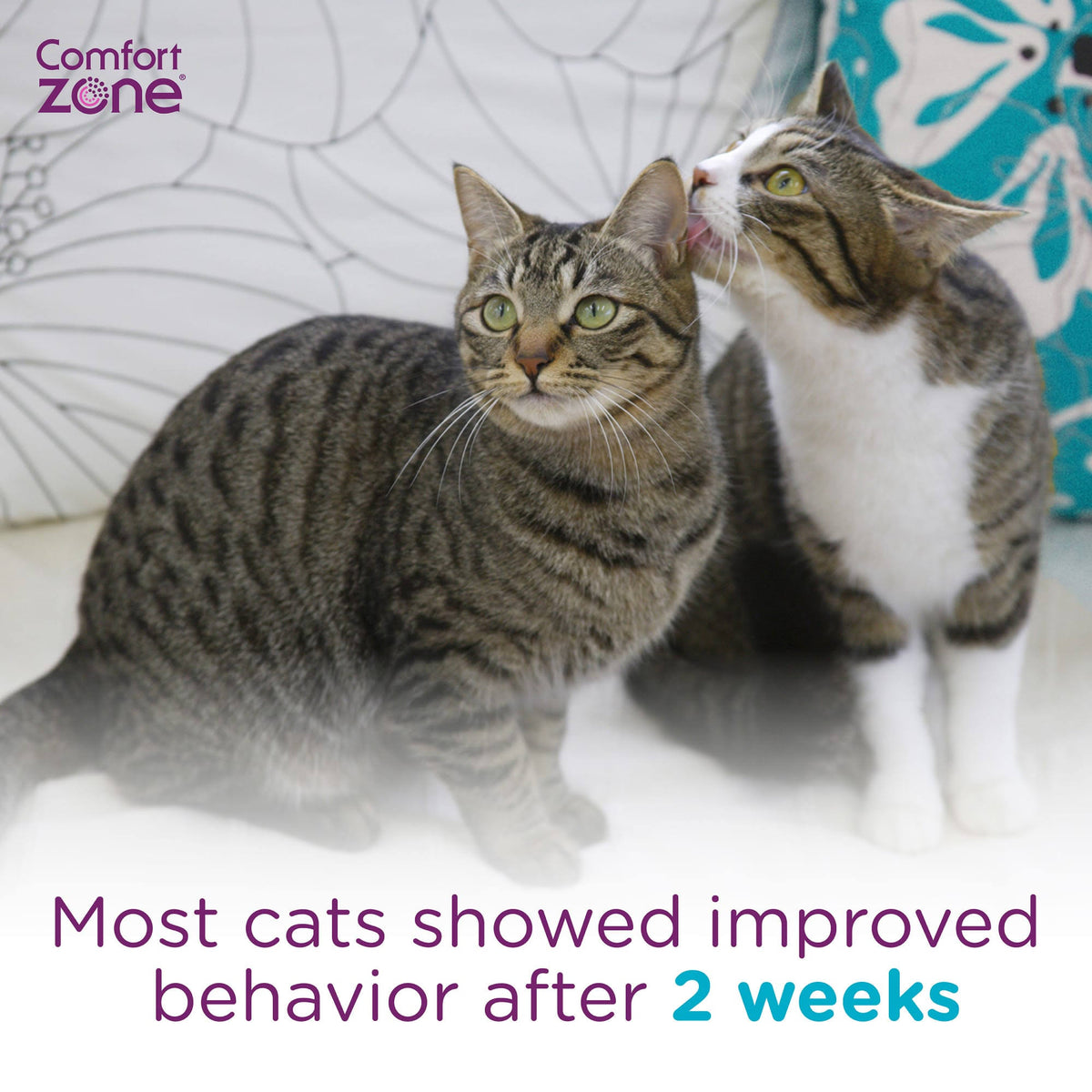 Comfort Zone Cat Multicat Diffuser Refill 6 Pack D838628