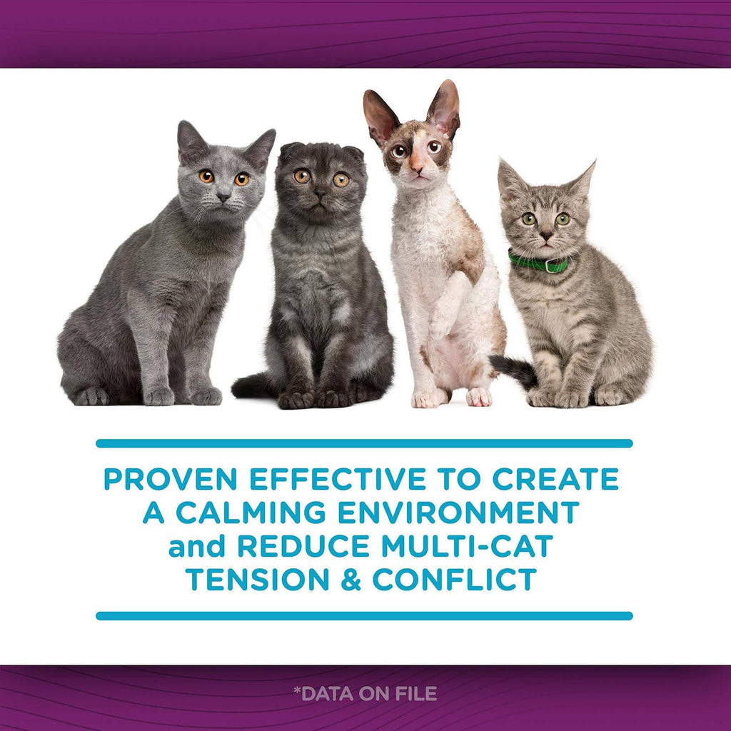 Comfort Zone Cat Multicat Diffuser Refill 6 Pack D838628