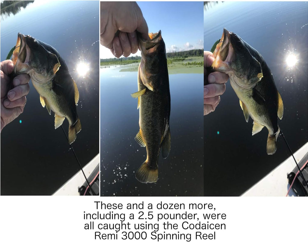 Spinning Reel 3000 M4563