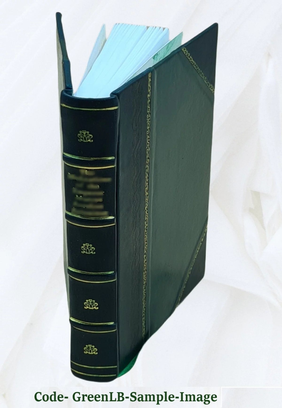 Guide pratique des villes d'eaux 1910 Leather Bound O8441