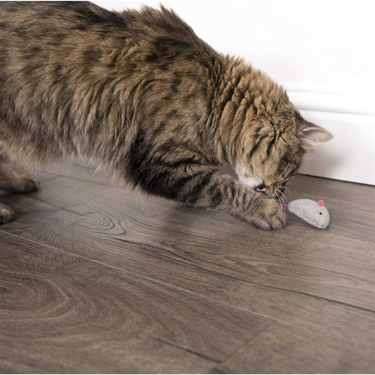 Catnip Toys D264233