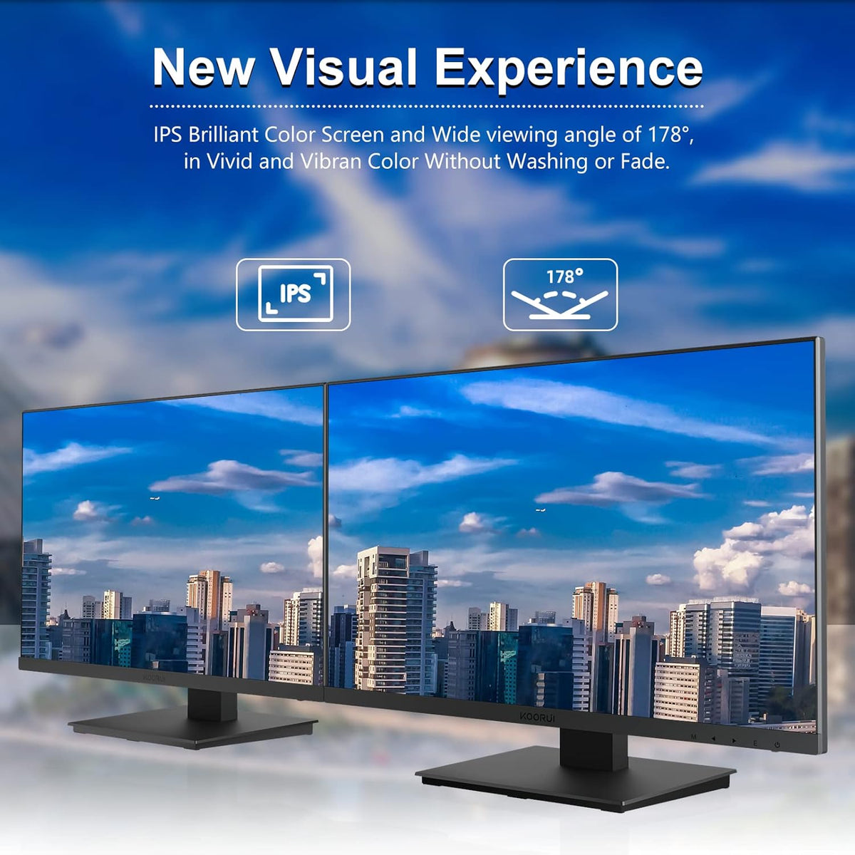 24 Inch FHD 1080p IPS 75Hz Monitor O3848