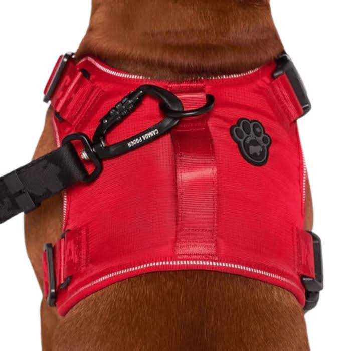 Complete Control Dog Harness S74969