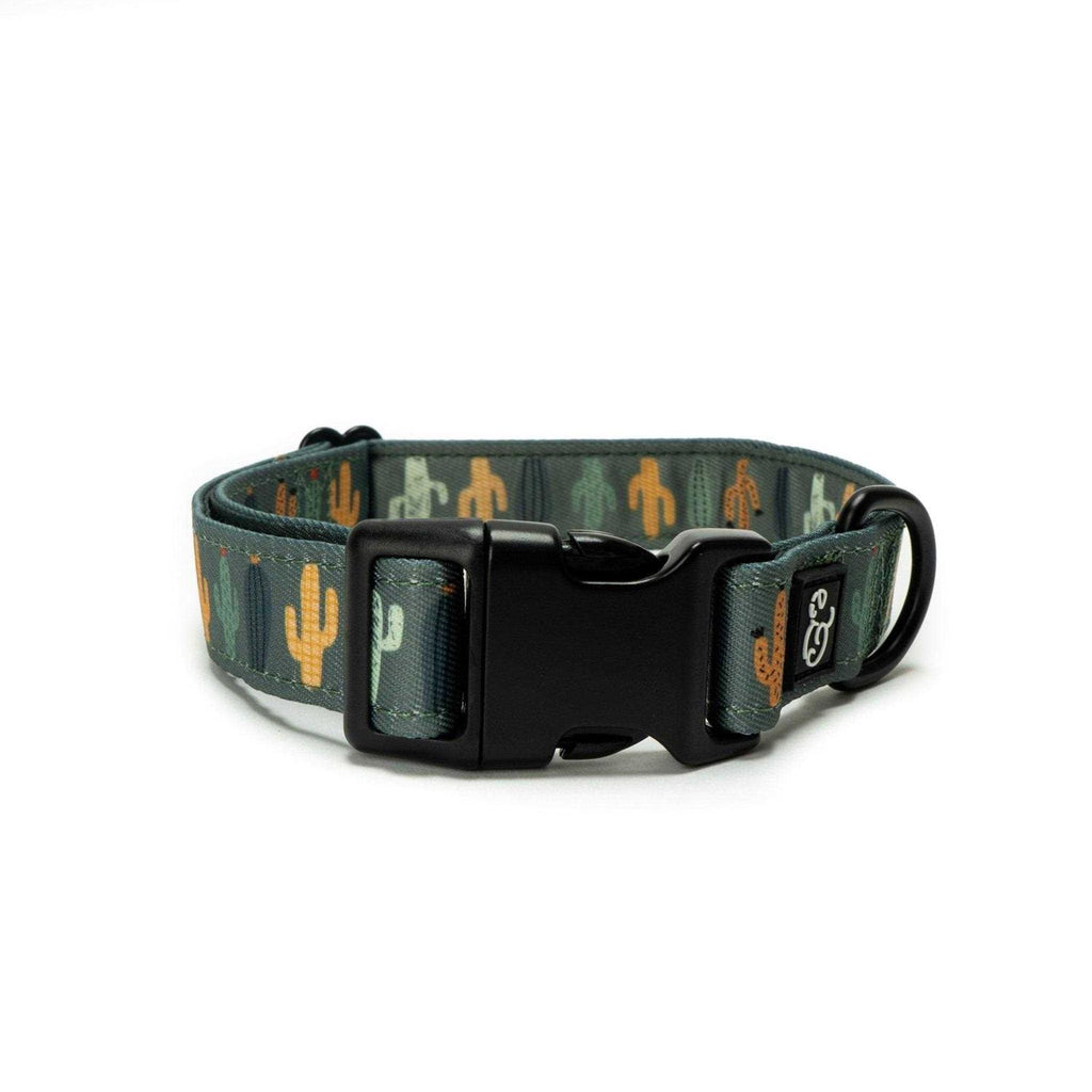 Pink Dog Collar P75388