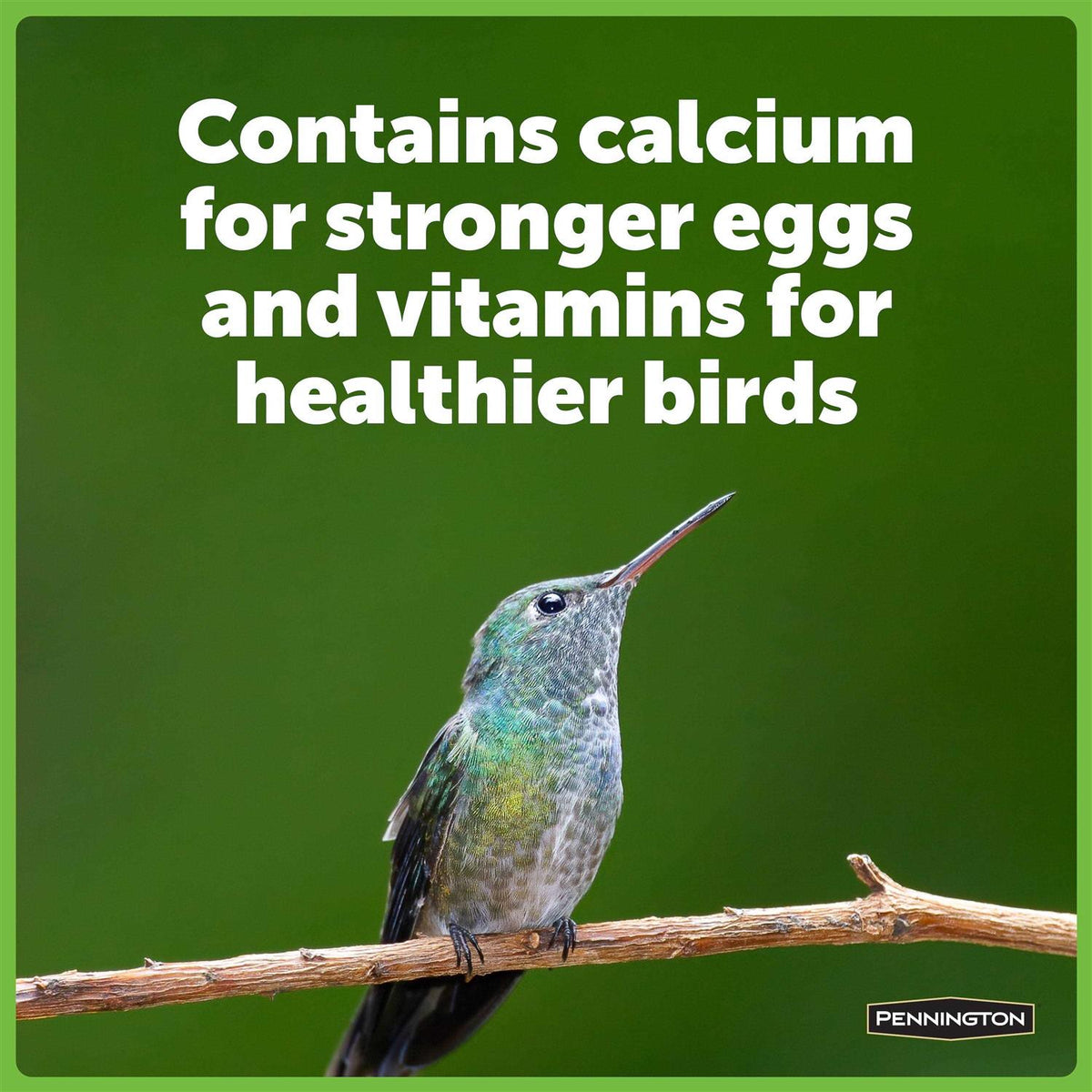 Hummingbird Food No Artificial Dye Y5894
