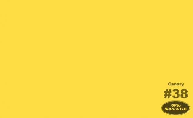 Canary Seamless Background Paper, 86" Wide x 36' P112