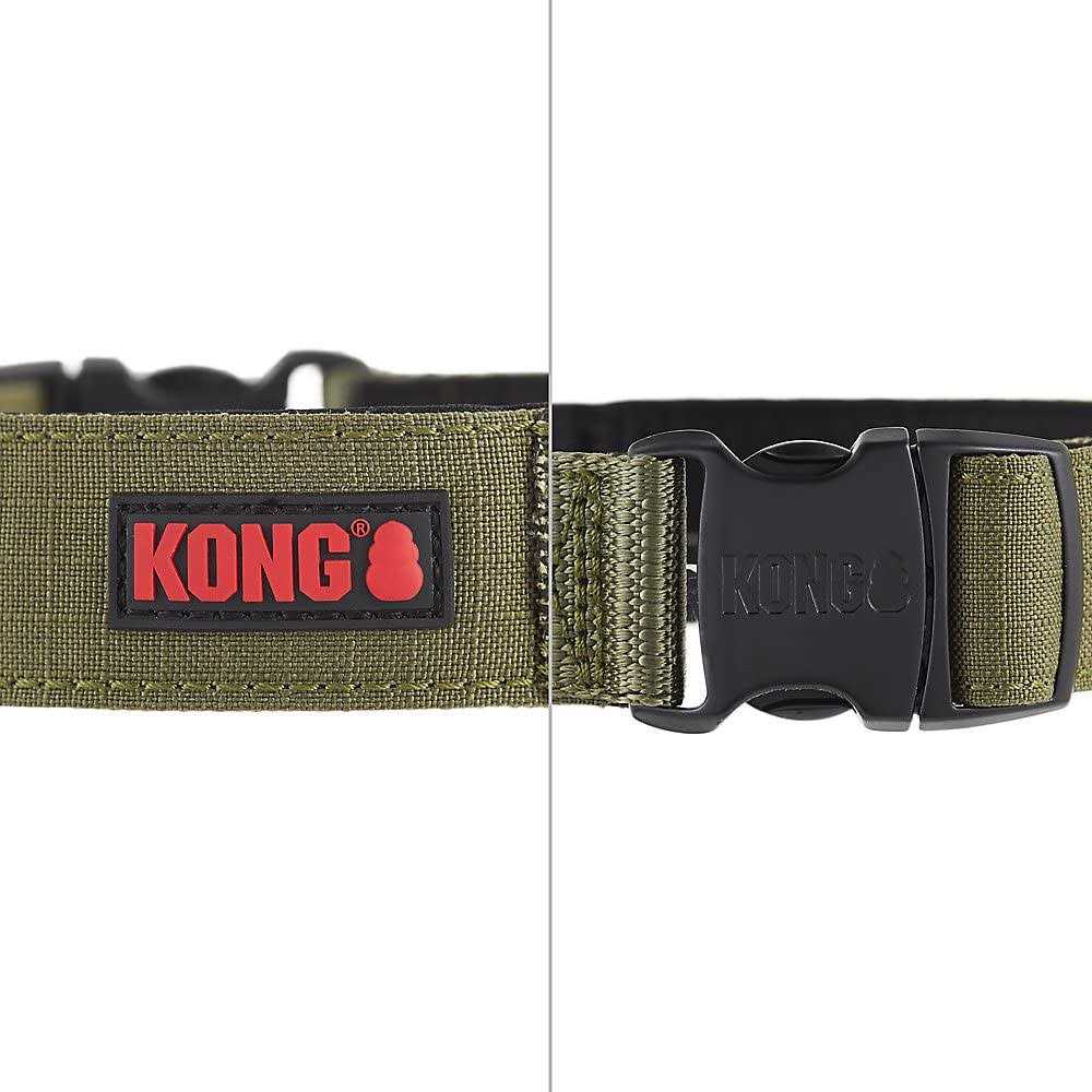 Padded Dog Collar K472207