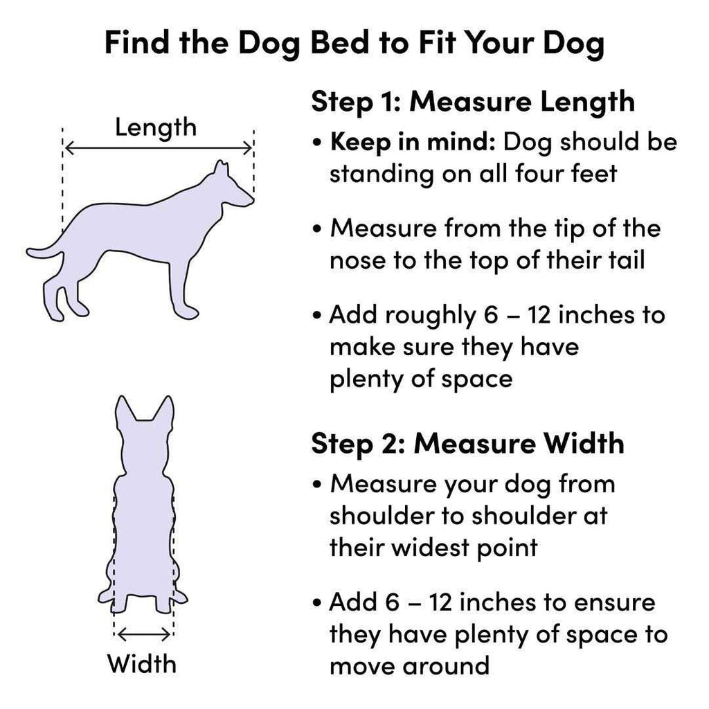Pet Products Y15368