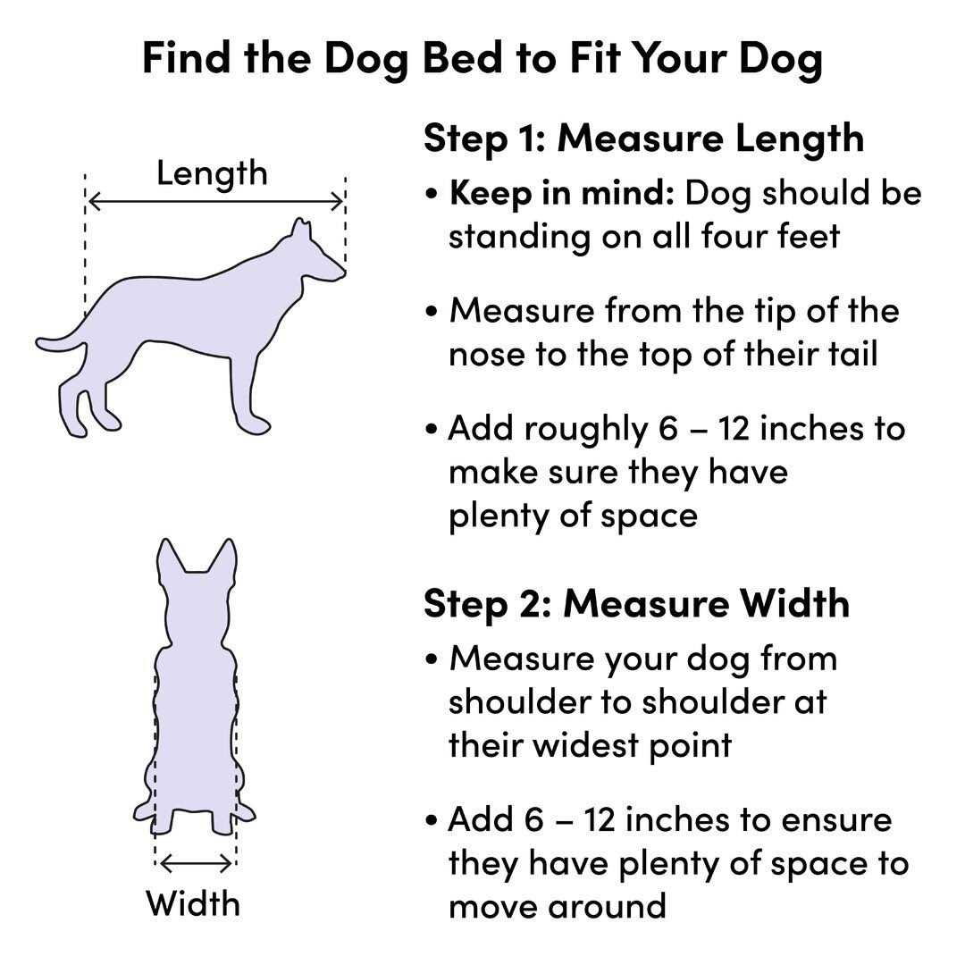 Pet Products Y15368