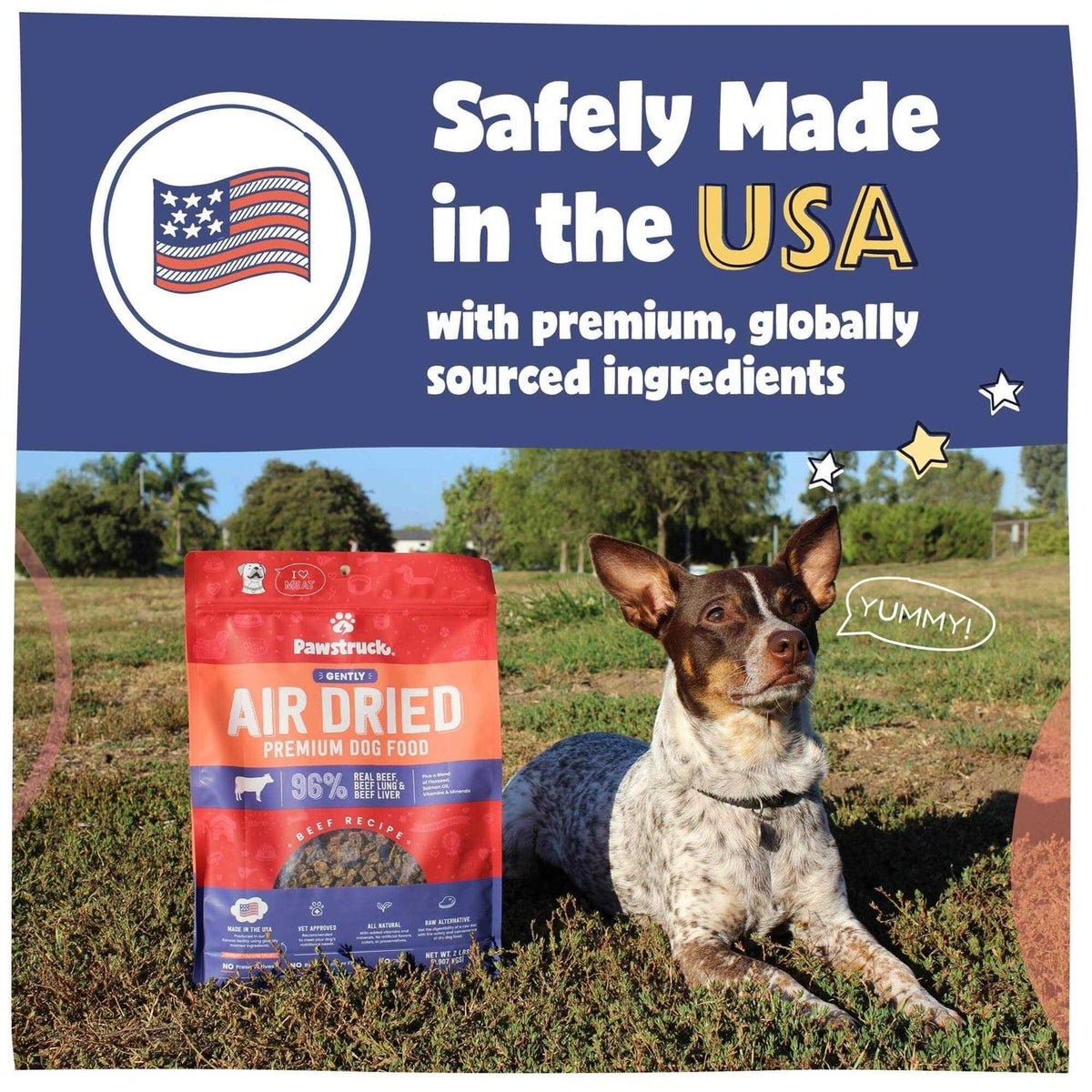 Grain-Free Air Dried Dog Food R262472
