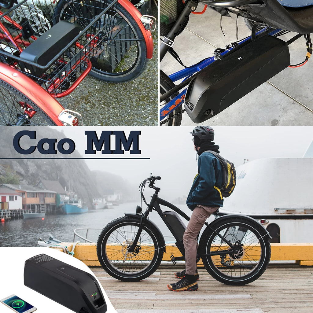 48V 20AH Lithium Ebike Battery with Charger S979932