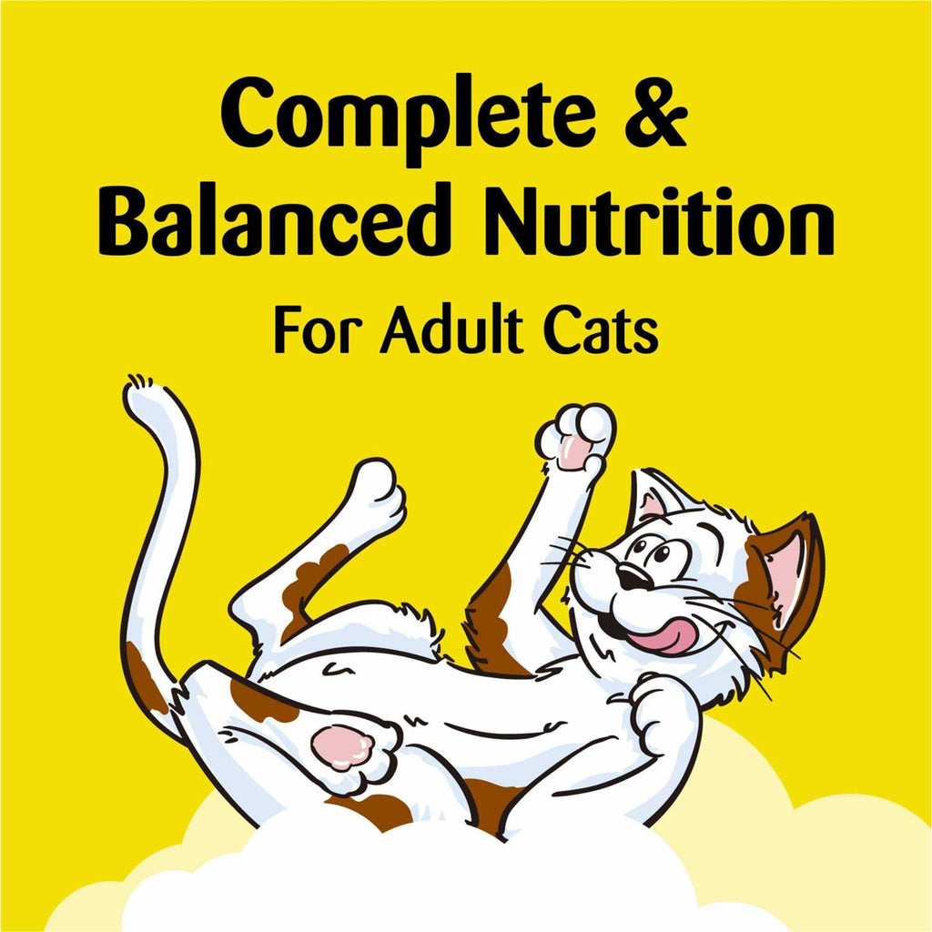 Catnip Flavor Cat Treats G61113