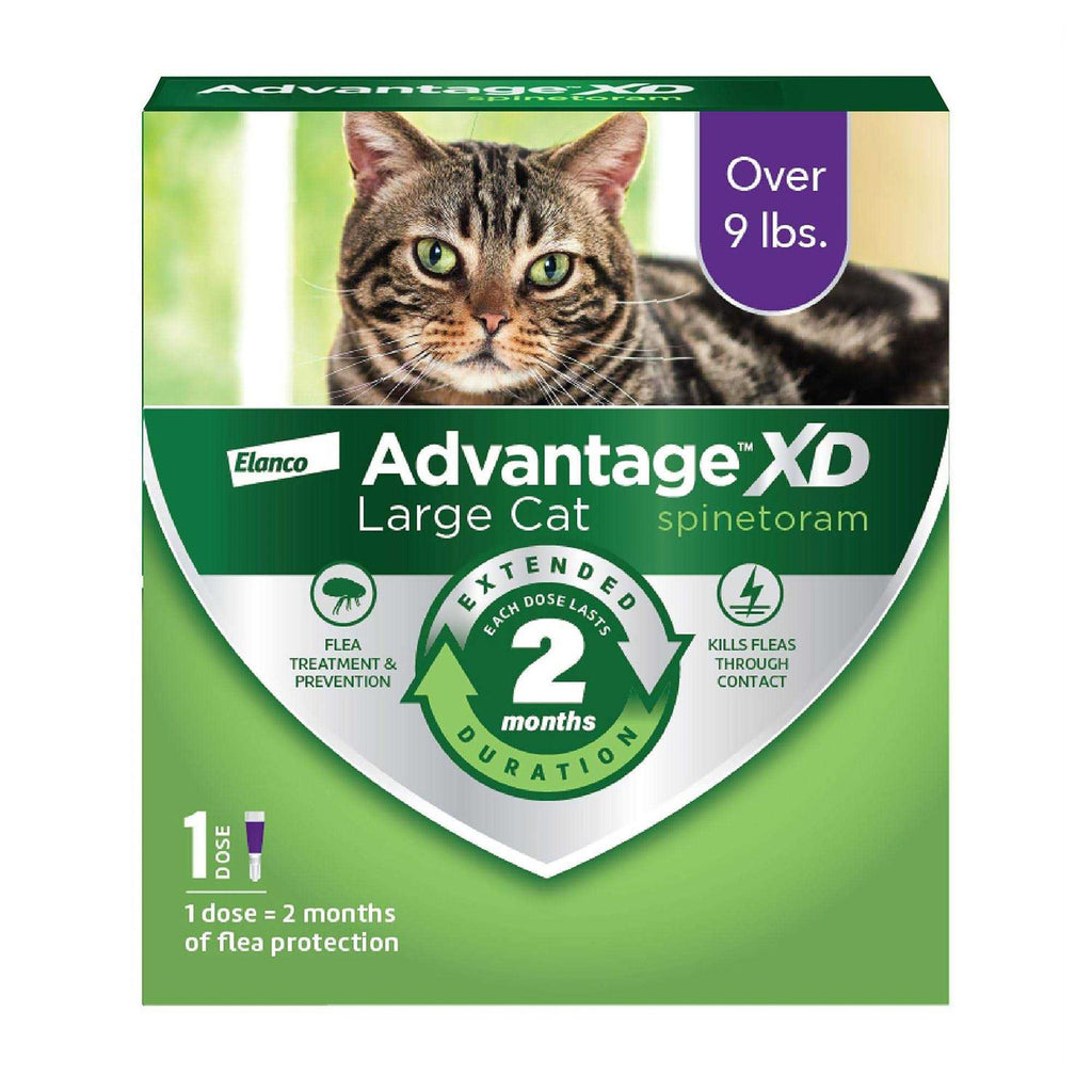 Cat Flea Prevention & Treatment N997