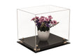 Clear Acrylic Display Case - Medium Rectangle Box with Gold Risers 12.25 inch x 10 inch x 10.5 inch F439209