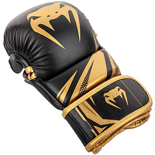 Sparring Gloves P750
