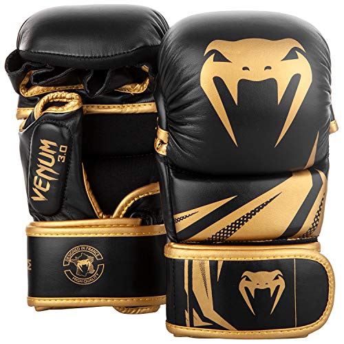 Sparring Gloves P750