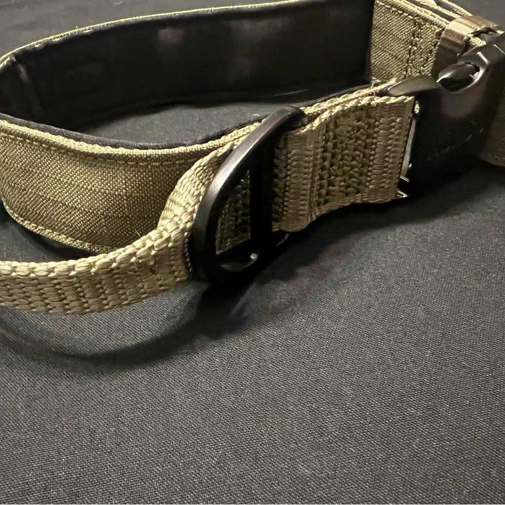 Padded Dog Collar K472207