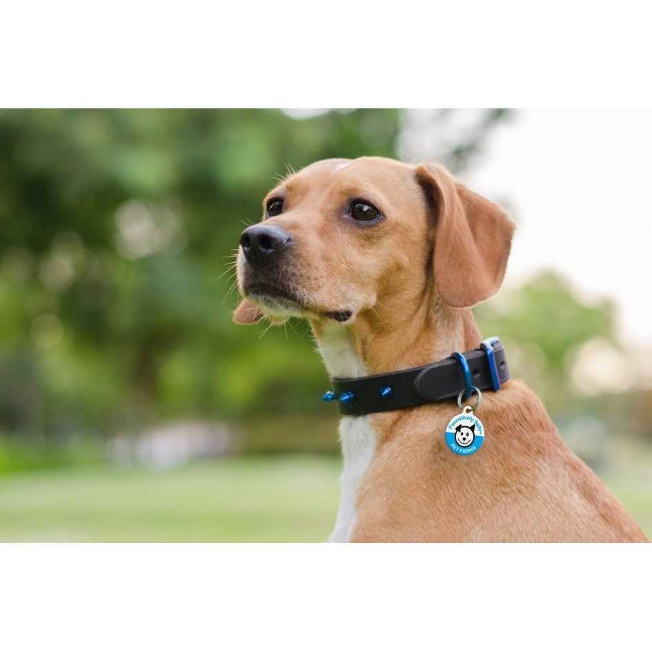 Dog Cat Pet Tag H63674