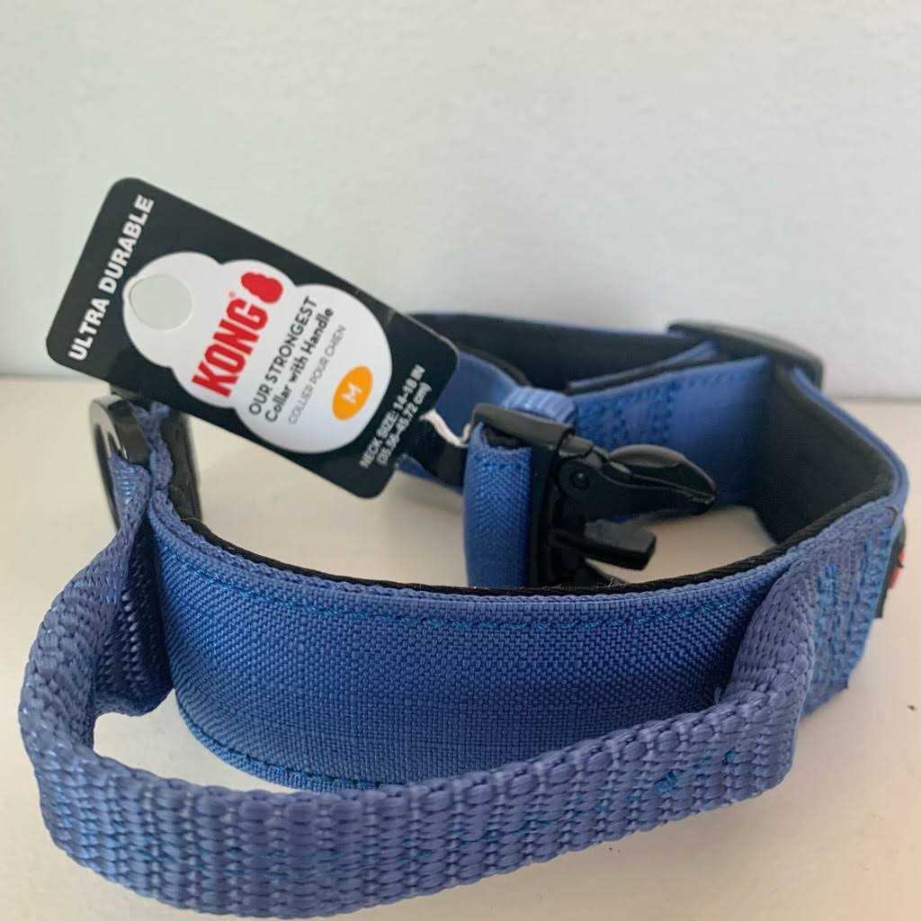 Padded Dog Collar W567932