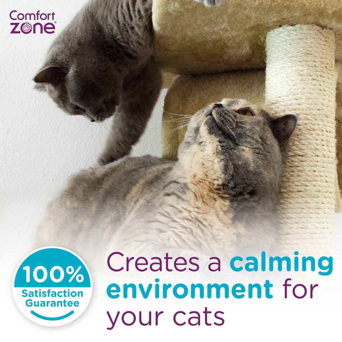 Comfort Zone Cat Multicat Diffuser Refill 6 Pack D838628