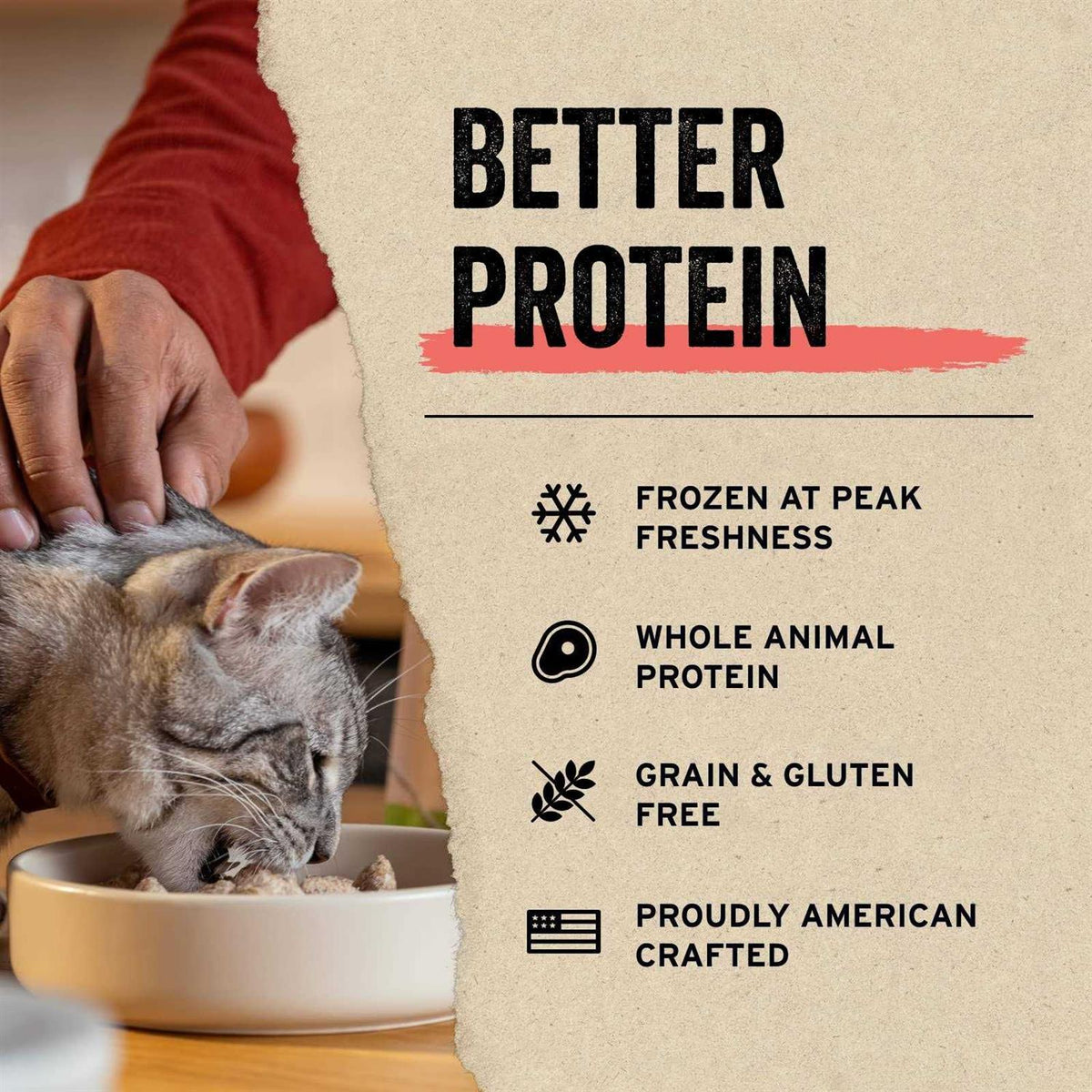 Freeze-Dried Minnows Cat Treats E31479