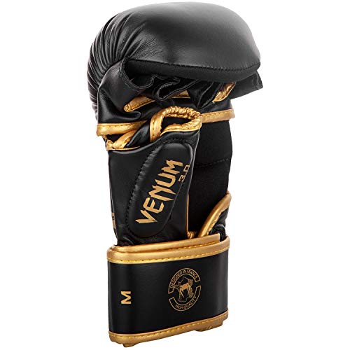 Sparring Gloves P750