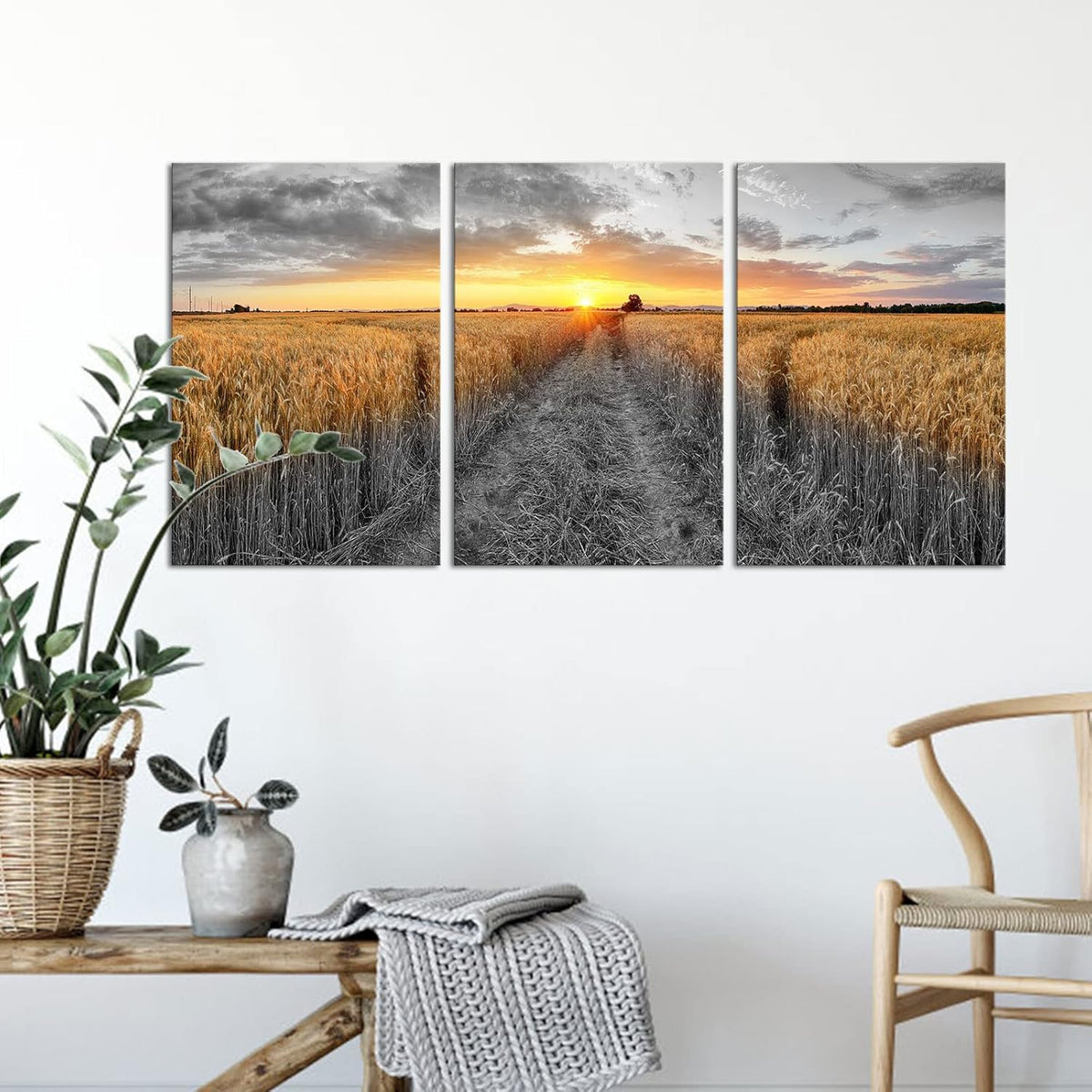 3 Pieces Golden Wheat Field Texas Sunset Canvas Wall Art Z414