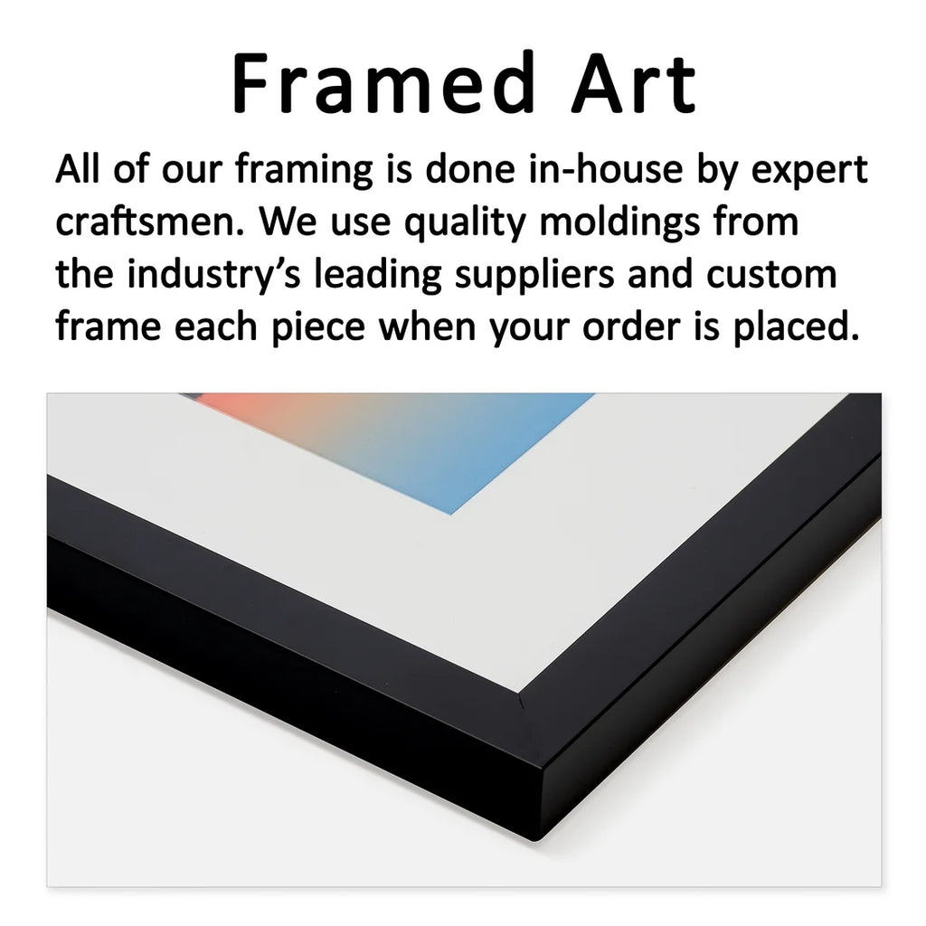 Framed Print N431819