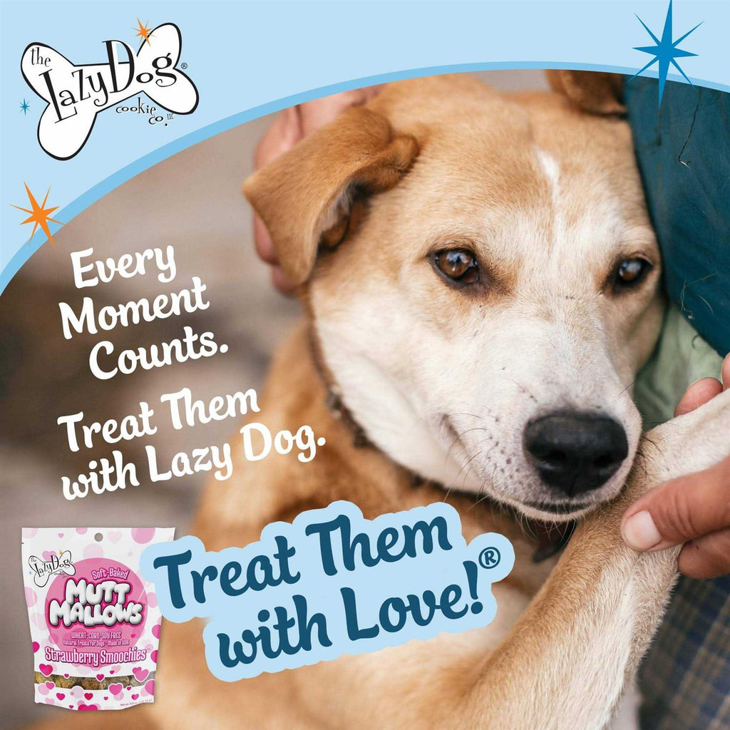 Pet Supplies R7945