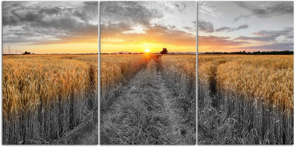 3 Pieces Golden Wheat Field Texas Sunset Canvas Wall Art Z414